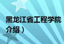黑龍江省工程學(xué)院（關(guān)于黑龍江省工程學(xué)院的介紹）