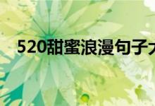 520甜蜜浪漫句子大全（520表白的句子）