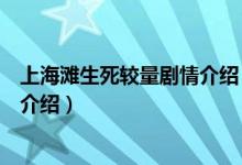 上海灘生死較量劇情介紹（關(guān)于上海灘生死較量劇情介紹的介紹）