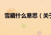 雪藏什么意思（關(guān)于雪藏什么意思的介紹）