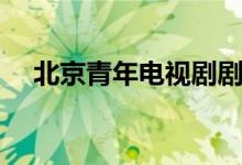 北京青年電視劇劇情（講的是什么故事）