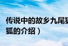 傳說(shuō)中的故鄉(xiāng)九尾狐（關(guān)于傳說(shuō)中的故鄉(xiāng)九尾狐的介紹）