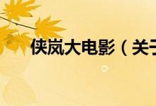 俠嵐大電影（關(guān)于俠嵐大電影的介紹）