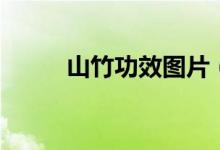 山竹功效圖片（山竹功效與作用）