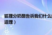 狐貍分奶酪告訴我們什么的道理（狐貍分奶酪告訴我們什么道理）