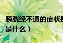 膀胱經不通的癥狀是什么（膀胱經不通的癥狀是什么）
