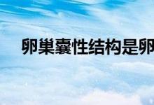 卵巢囊性結(jié)構(gòu)是卵泡嗎（卵巢囊性結(jié)構(gòu)）