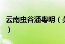 云南蟲谷潘粵明（關(guān)于云南蟲谷潘粵明的介紹）