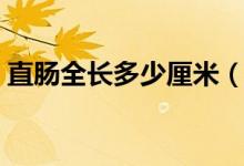 直腸全長(zhǎng)多少厘米（直腸長(zhǎng)度約為多少厘米）