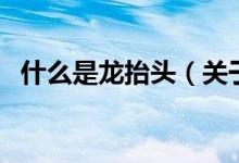 什么是龍?zhí)ь^（關(guān)于什么是龍?zhí)ь^的介紹）