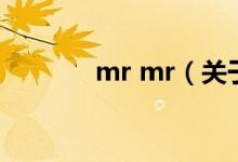 mr mr（關(guān)于mr mr的介紹）