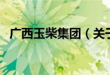 廣西玉柴集團(tuán)（關(guān)于廣西玉柴集團(tuán)的介紹）