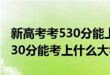 新高考考530分能上什么大學（2022年高考530分能考上什么大學）