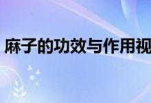 麻子的功效與作用視頻（麻子的功效與作用）