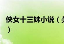 俠女十三妹小說（關(guān)于俠女十三妹小說的介紹）