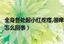 全身各處起小紅疙瘩,很癢怎么回事（全身起小紅疙瘩還很癢怎么回事）