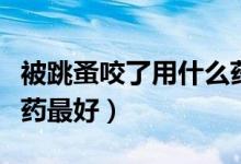 被跳蚤咬了用什么藥兒童（被跳蚤咬了用什么藥最好）