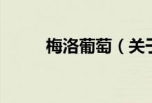 梅洛葡萄（關(guān)于梅洛葡萄的介紹）