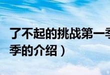 了不起的挑戰(zhàn)第一季（關(guān)于了不起的挑戰(zhàn)第一季的介紹）