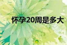懷孕20周是多大（懷孕20周是幾個(gè)月）