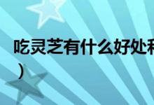 吃靈芝有什么好處和壞處（吃靈芝有什么好處）