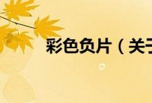 彩色負(fù)片（關(guān)于彩色負(fù)片的介紹）