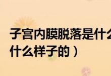 子宮內(nèi)膜脫落是什么意思呢（子宮內(nèi)膜脫落是什么樣子的）