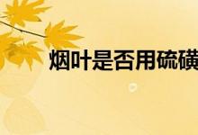 煙葉是否用硫磺（煙葉是否治痔瘡）