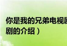 你是我的兄弟電視?。P(guān)于你是我的兄弟電視劇的介紹）