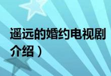 遙遠(yuǎn)的婚約電視?。P(guān)于遙遠(yuǎn)的婚約電視劇的介紹）