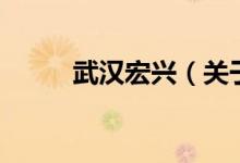 武漢宏興（關(guān)于武漢宏興的介紹）