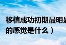 移植成功初期最明顯的感覺（移植成功最明顯的感覺是什么）