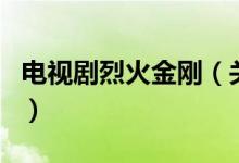 電視劇烈火金剛（關(guān)于電視劇烈火金剛的介紹）