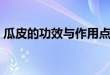 瓜皮的功效與作用點（東瓜皮的功效與作用）
