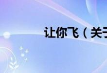 讓你飛（關于讓你飛的介紹）