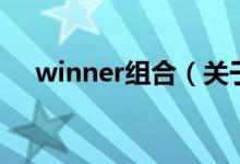 winner組合（關于winner組合的介紹）