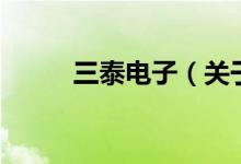 三泰電子（關(guān)于三泰電子的介紹）