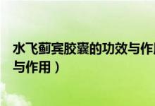 水飛薊賓膠囊的功效與作用和副作用（水飛薊素膠囊的功效與作用）