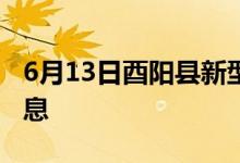 6月13日酉陽(yáng)縣新型冠狀病毒肺炎疫情最新消息
