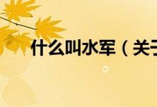 什么叫水軍（關(guān)于什么叫水軍的介紹）