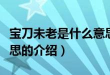 寶刀未老是什么意思（關(guān)于寶刀未老是什么意思的介紹）