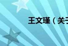 王文瑾（關(guān)于王文瑾的介紹）