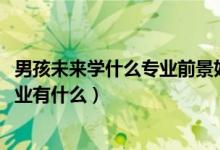 男孩未來學(xué)什么專業(yè)前景好（2022男生未來發(fā)展好的大學(xué)專業(yè)有什么）