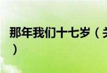 那年我們十七歲（關(guān)于那年我們十七歲的介紹）