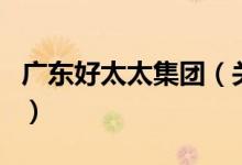 廣東好太太集團(tuán)（關(guān)于廣東好太太集團(tuán)的介紹）