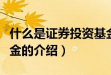 什么是證券投資基金（關(guān)于什么是證券投資基金的介紹）