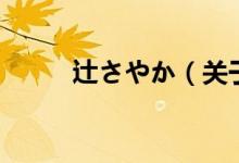 辻さやか（關(guān)于辻さやか的介紹）