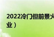 2022冷門但前景火爆的男生專業(yè)（有什么專業(yè)）