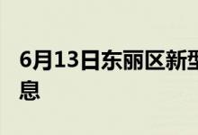 6月13日東麗區(qū)新型冠狀病毒肺炎疫情最新消息