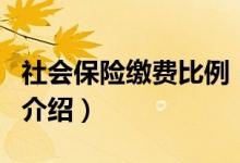 社會(huì)保險(xiǎn)繳費(fèi)比例（關(guān)于社會(huì)保險(xiǎn)繳費(fèi)比例的介紹）